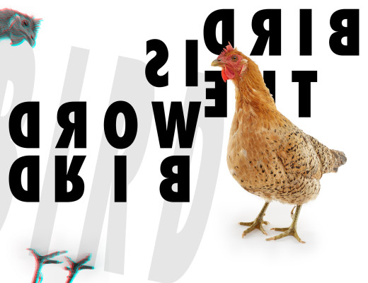 996904 (a): :2048x1575